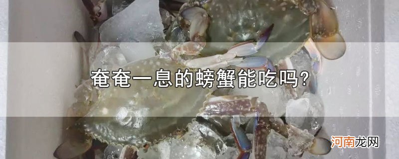 奄奄一息的螃蟹能吃吗?优质