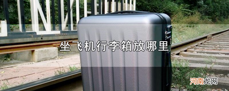 坐飞机行李箱放哪里优质