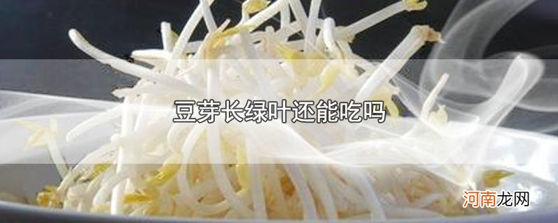 豆芽长绿叶还能吃吗优质