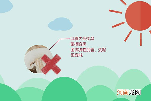 口蘑里面黑了还能吃吗优质