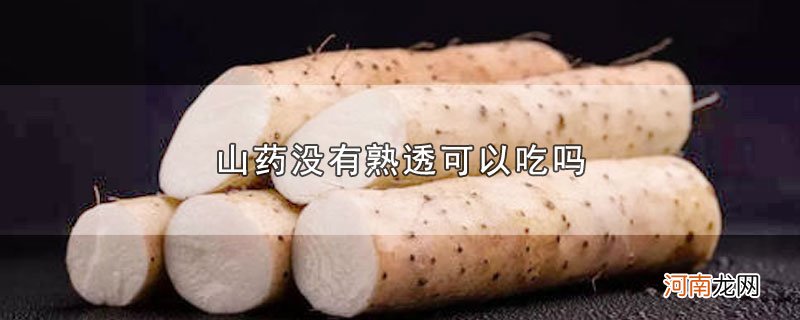 山药没有熟透可以吃吗优质