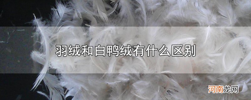 羽绒和白鸭绒有什么区别优质