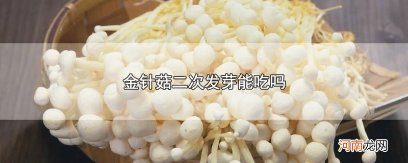 金针菇二次发芽能吃吗优质