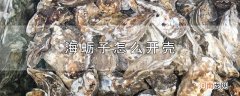 海蛎子怎么开壳优质
