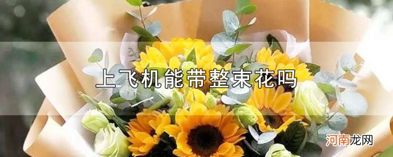 上飞机能带整束花吗优质