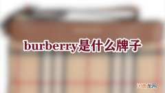 burberry是什么牌子优质