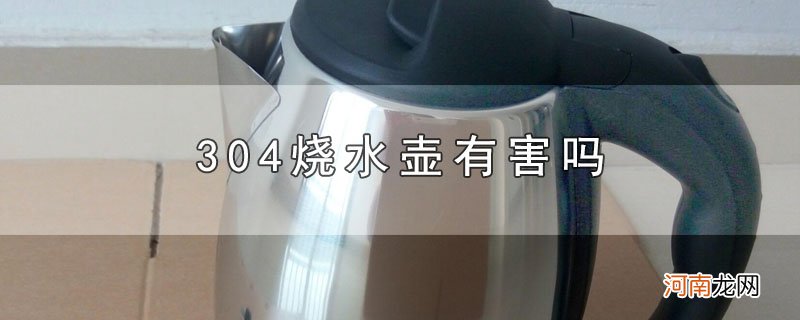 304烧水壶有害吗优质