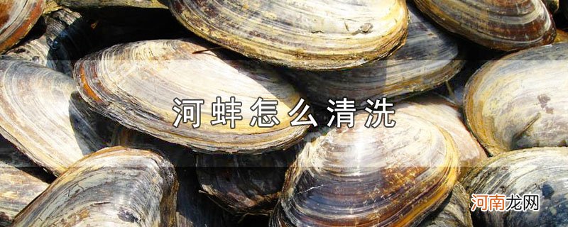 河蚌怎么清洗优质