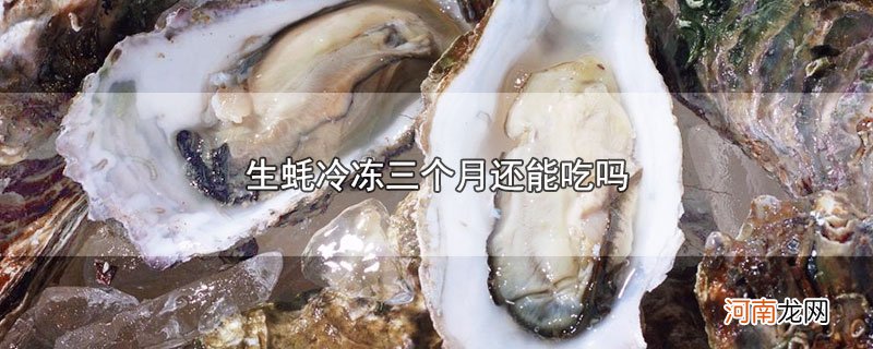 生蚝冷冻三个月还能吃吗优质