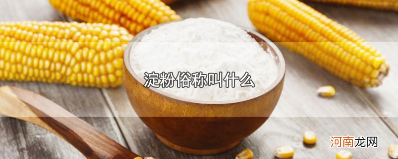 淀粉俗称叫什么优质