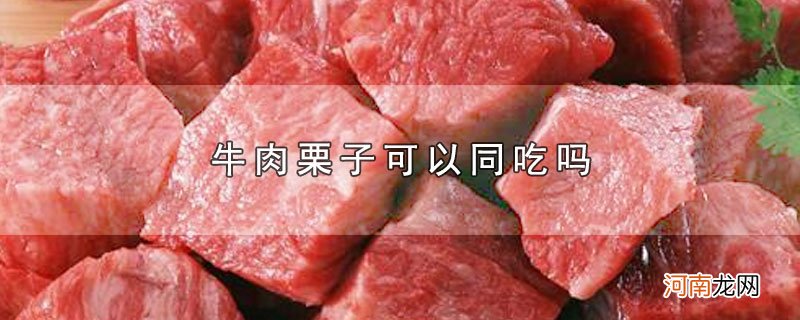 牛肉栗子可以同吃吗优质