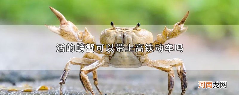 活的螃蟹可以带上高铁动车吗优质