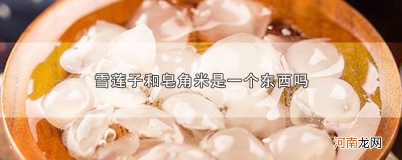 雪莲子和皂角米是一个东西吗优质