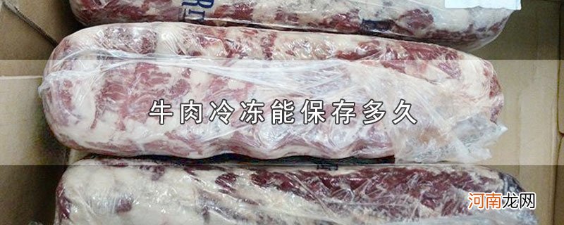 牛肉冷冻能保存多久优质