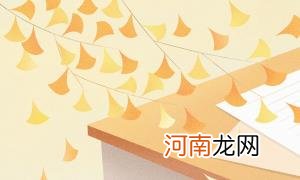 2022年华南理工大学高校专项计划招生报名时间及专业计划优质