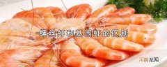 螺丝虾和基围虾的区别优质