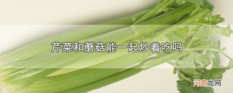 芹菜和蘑菇能一起炒着吃吗优质