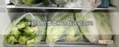 冰箱里的青菜被冻伤还能吃吗优质