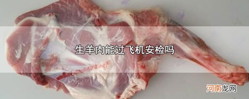 生羊肉能过飞机安检吗优质