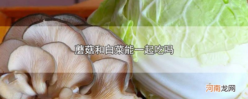 蘑菇和白菜能一起吃吗优质