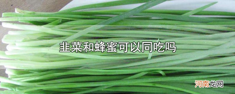 韭菜和蜂蜜可以同吃吗优质