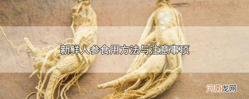 新鲜人参食用方法与注意事项优质