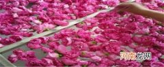 玫瑰花瓣有什么作用自己可以制作爽肤水吗？优质