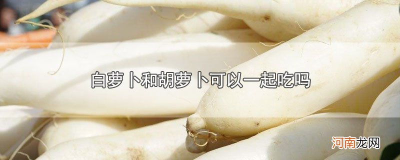 白萝卜和胡萝卜可以一起吃吗优质