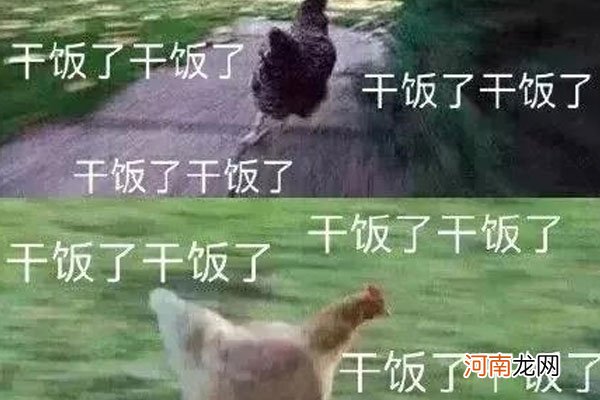 什么叫干饭人优质