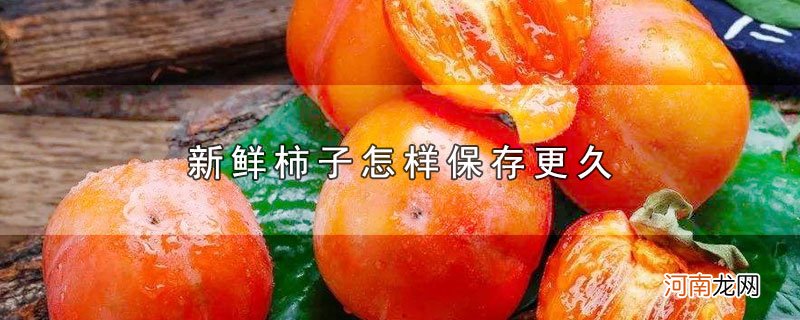 新鲜柿子怎样保存更久优质