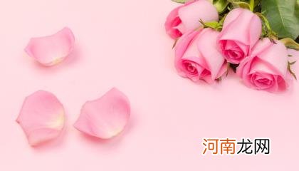 梦见花枯萎了是什么意思优质