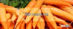胡萝卜炒多久才熟优质