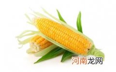 玉米是新鲜存放还是煮熟存放优质