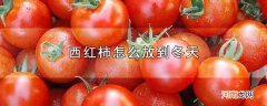 西红柿怎么放到冬天优质