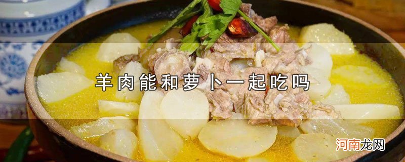 羊肉能和萝卜一起吃吗优质