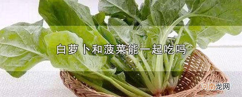 白萝卜和菠菜能一起吃吗优质