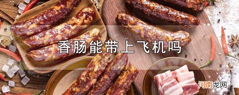 香肠能带上飞机吗优质