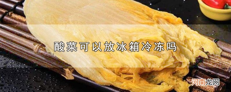 酸菜可以放冰箱冷冻吗优质