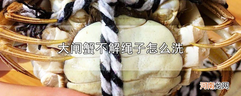 大闸蟹不解绳子怎么洗优质