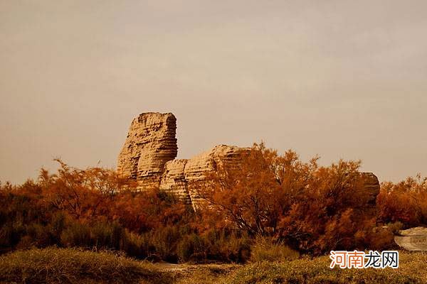 锁阳城是现在什么地方优质