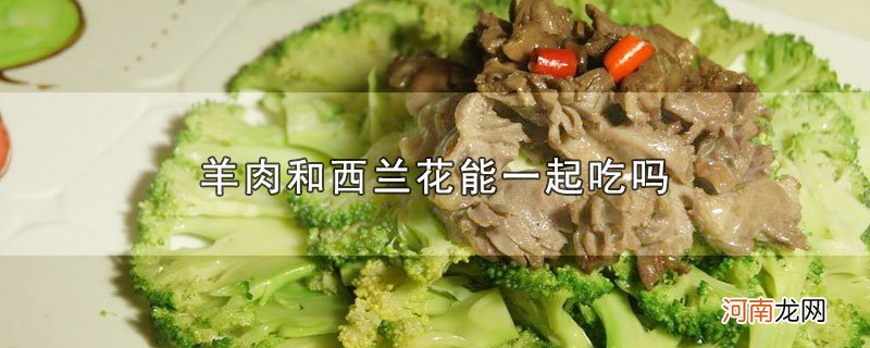 羊肉和西兰花能一起吃吗优质