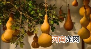 葫芦挂在正对入户门墙上好吗优质