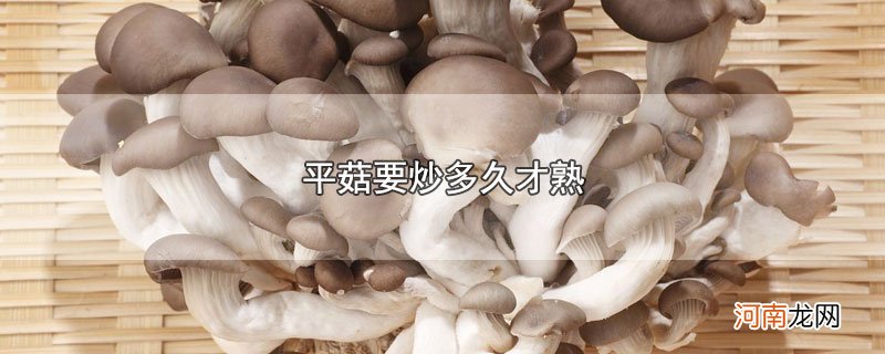 平菇要炒多久才熟优质