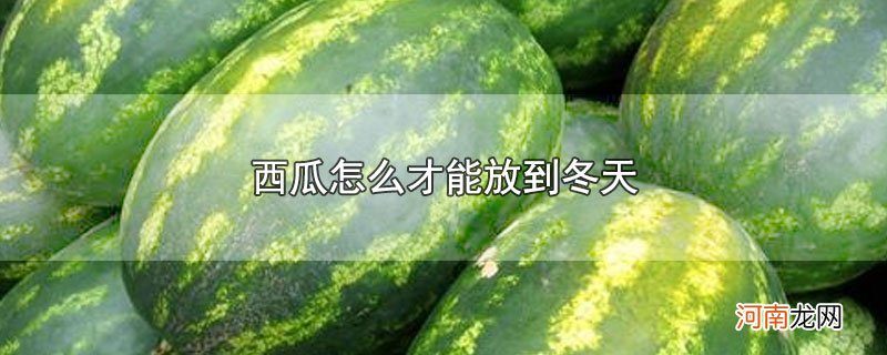 西瓜怎么才能放到冬天优质