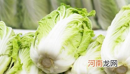 梦见买大白菜是什么意思优质