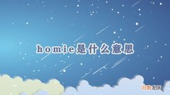 homie是什么意思优质