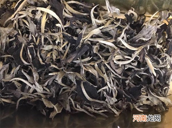 白茶生长环境要求