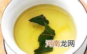 桑叶茶又叫短命茶是什么意思优质