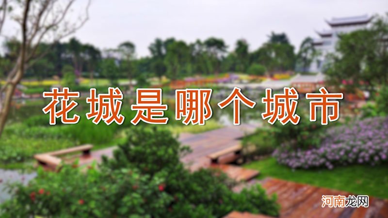 花城是哪个城市优质