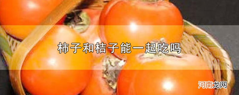 柿子和桔子能一起吃吗优质